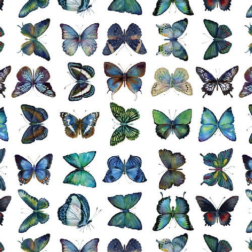 BLUE BUTTERFLIES
T0001-02