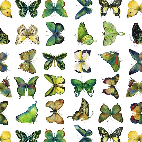 YELLOW GREEN BUTTERFLIES
T0001-03